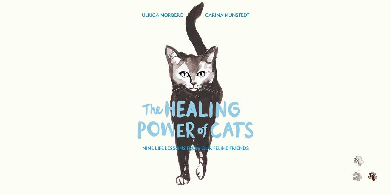Cover of The Healing Power of Cats