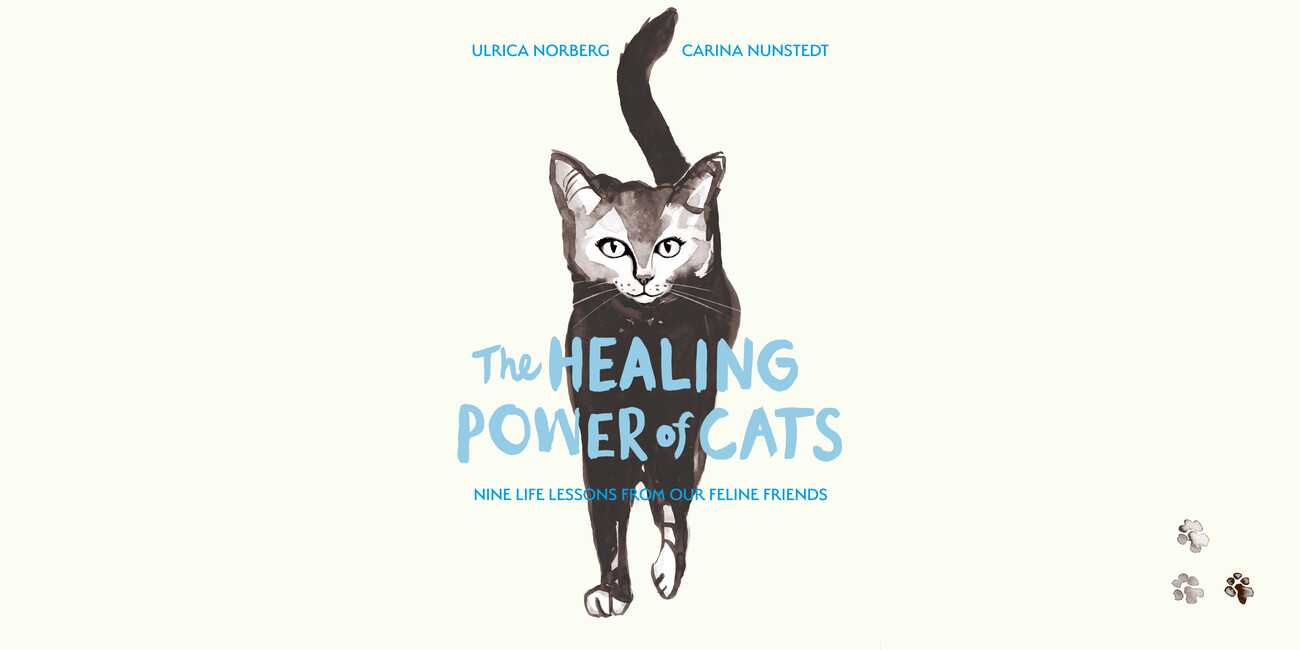 The Healing Power of Cats by Ulrica Norberg and Carina Nunstedt