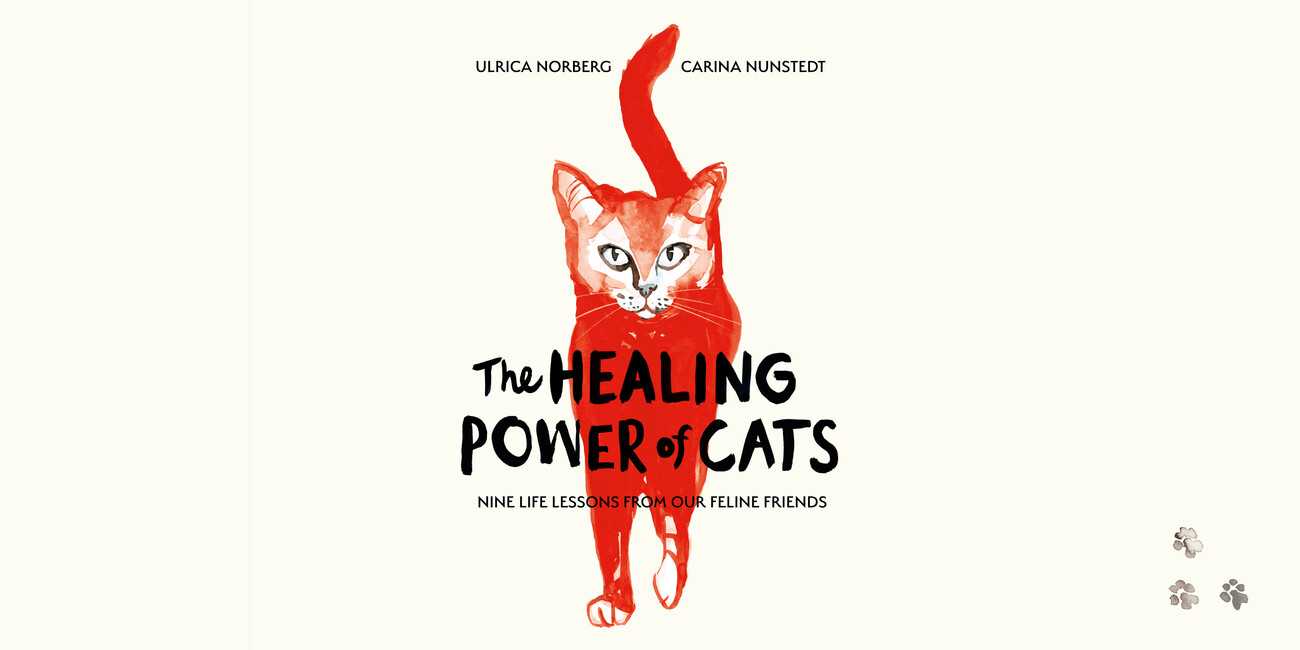 Cover of The Healing Power of Cats